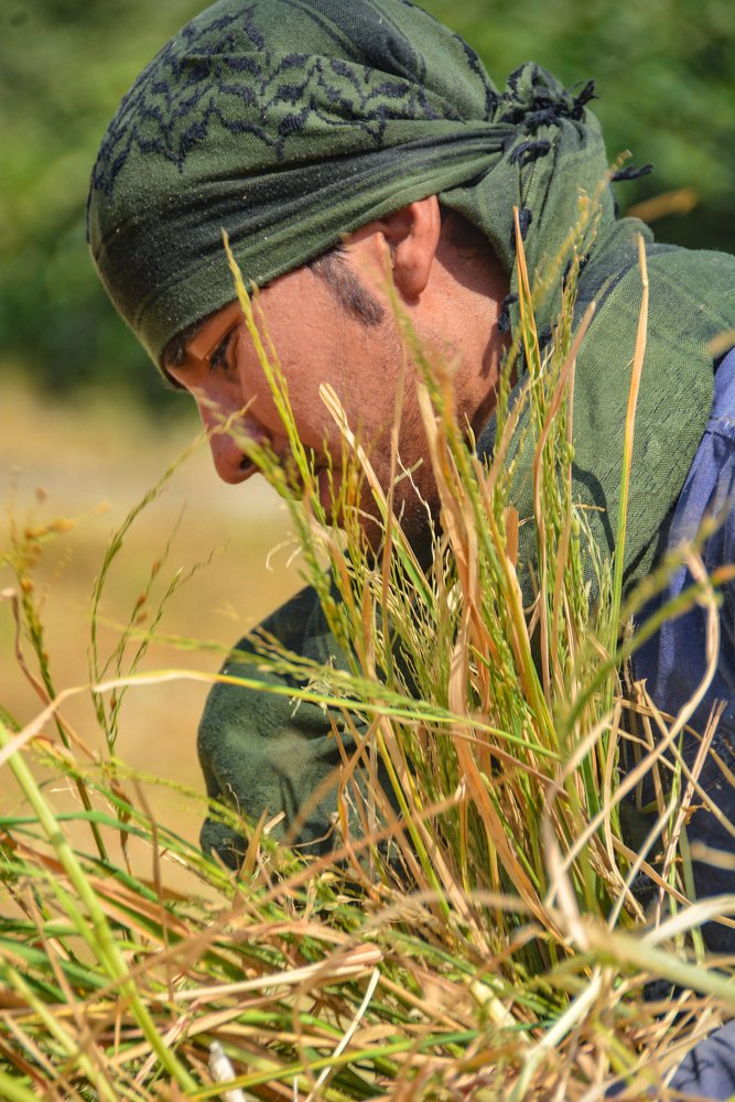 Qadir from Afghanistan