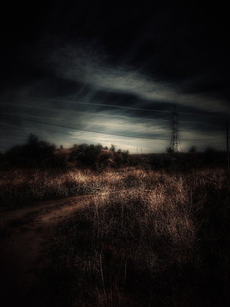 Скоро тишина