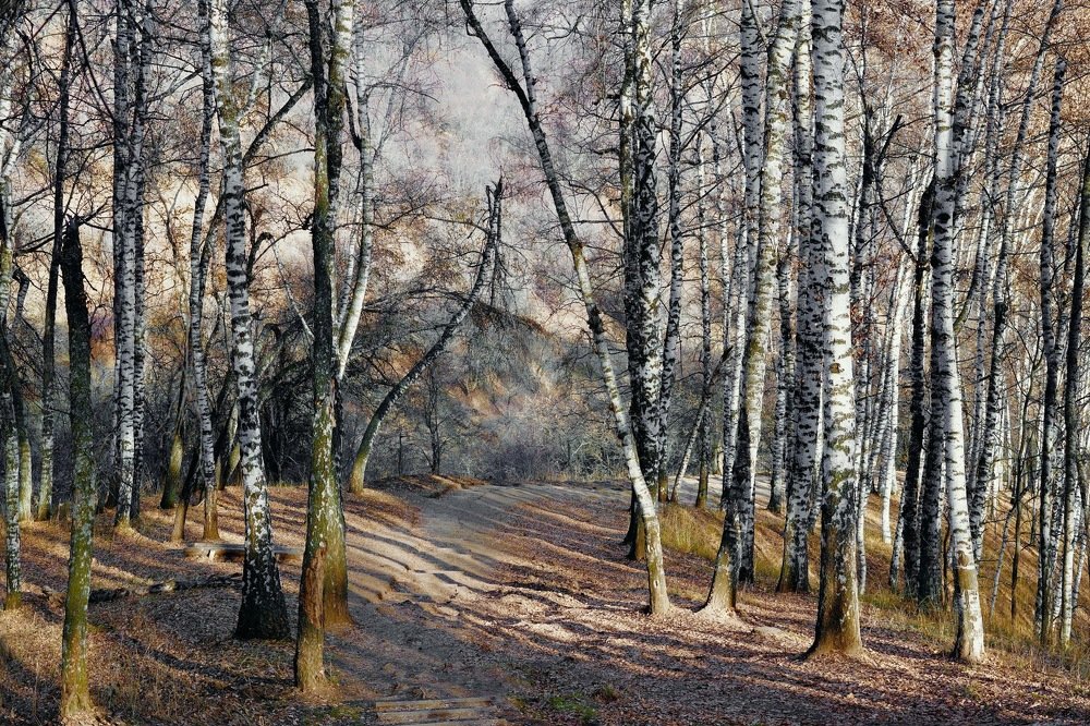 Photograph by Искандар Газизов