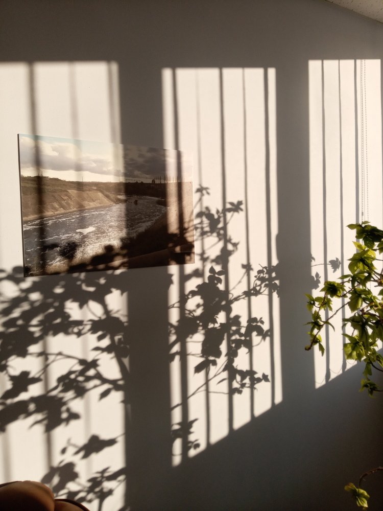 Photograph by Татьяна Пальчикова