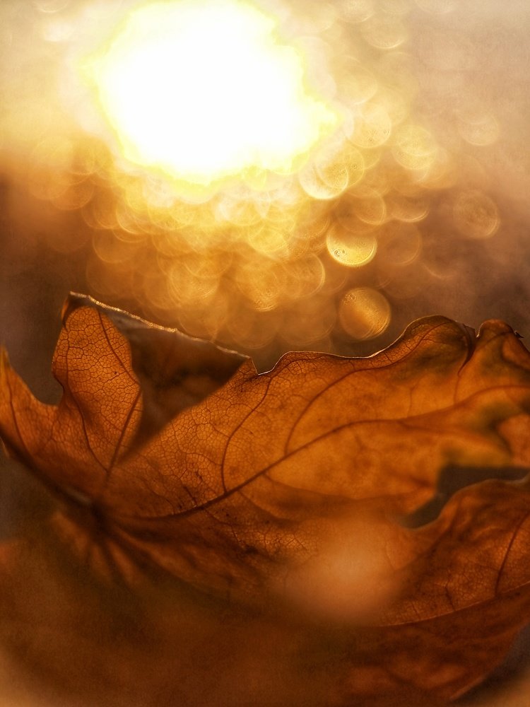 Photograph by Ирина Чиж