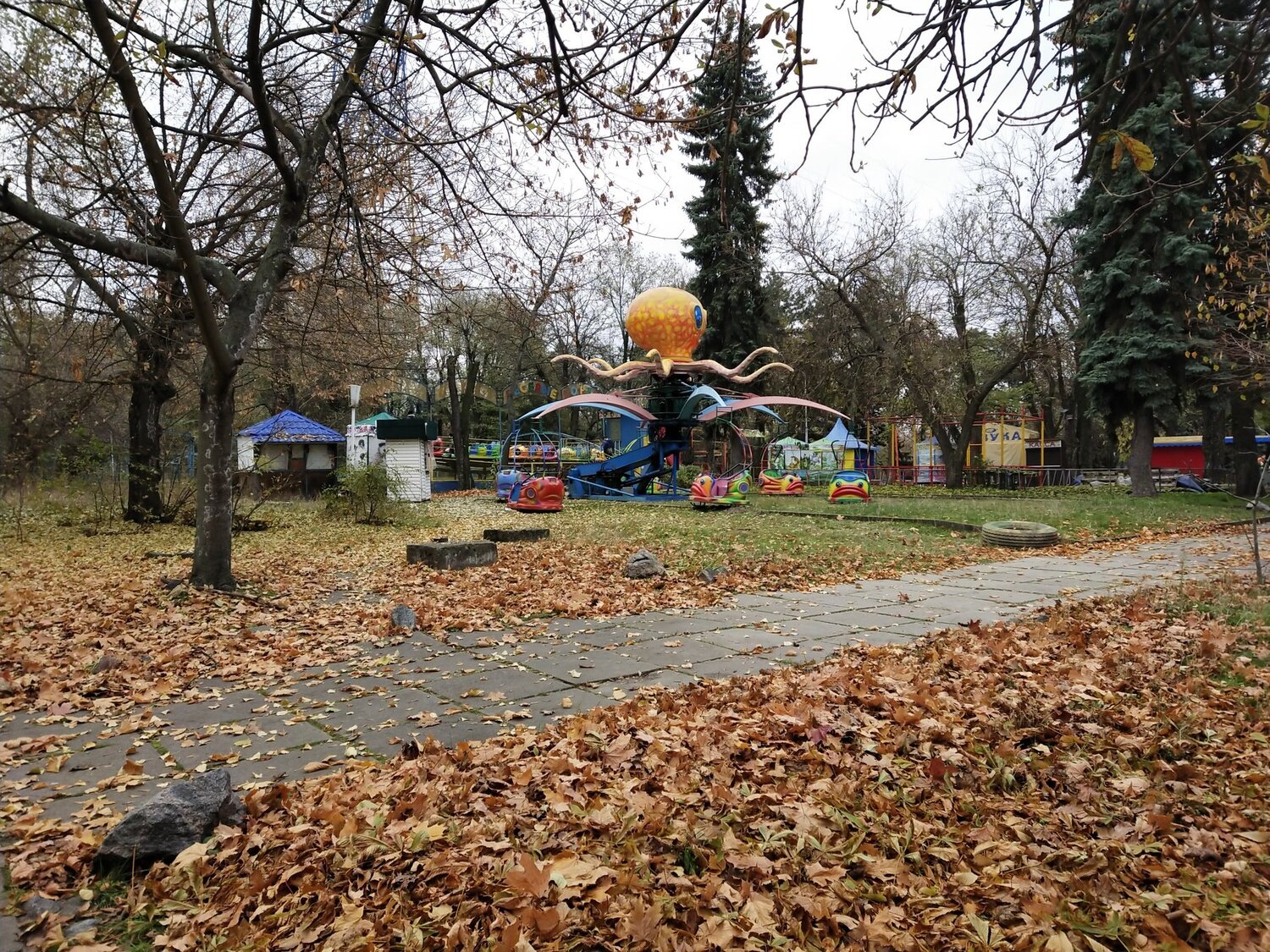 Photo #5272842