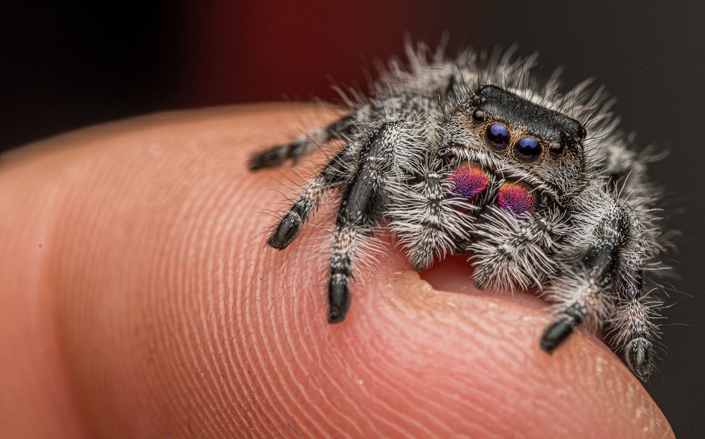 Photograph by heymans Tiffany