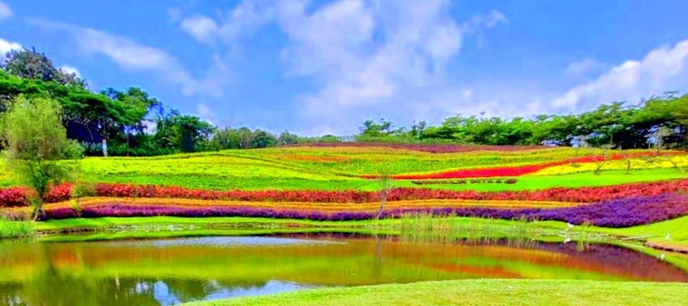 Vimala Hills