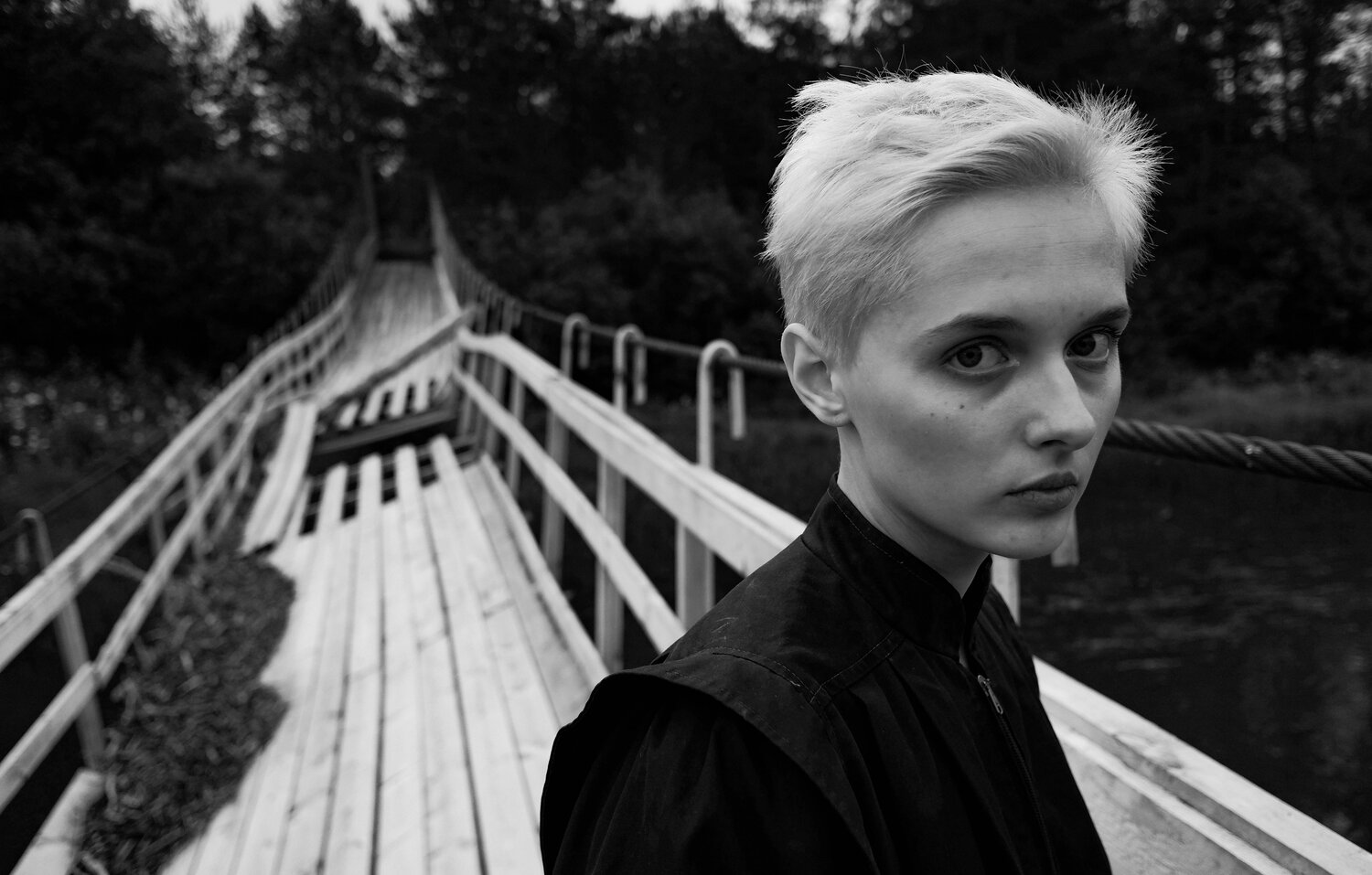 Photo #5273058