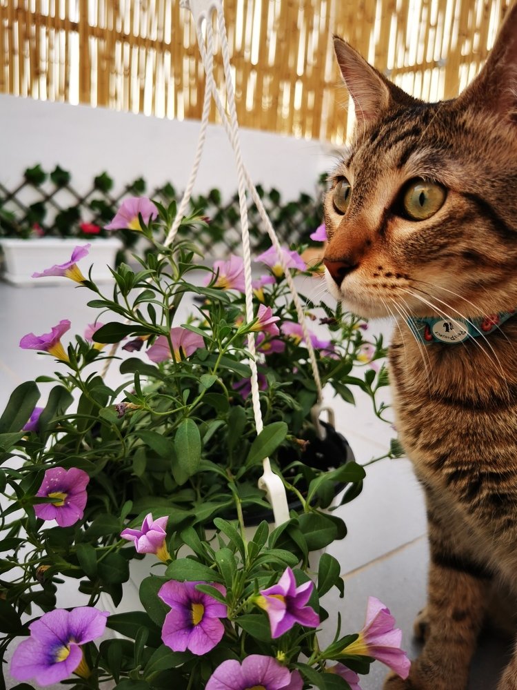 Photograph by Marina Persanova