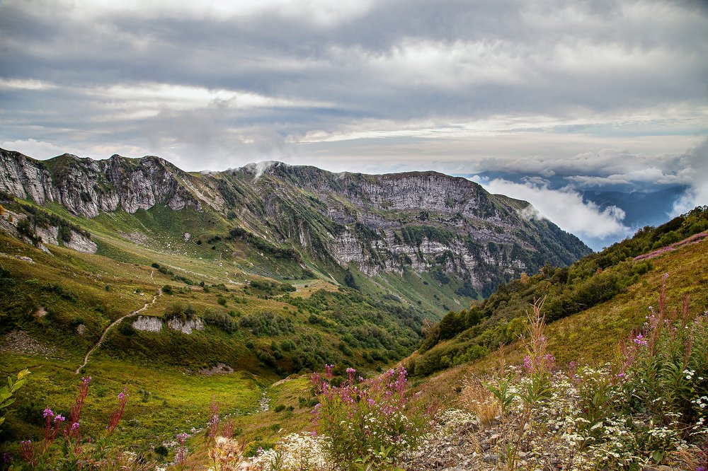 Photograph by Алексей Покровский