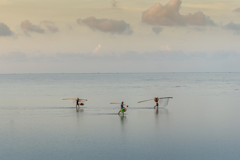 Фотография автора Murat BERKYUREK