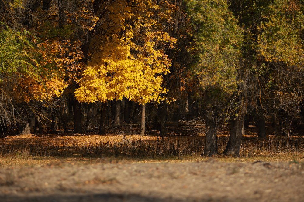Photograph by Татьяна Бесчастнова