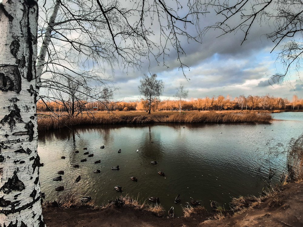 Photograph by Екатерина Дьяченко