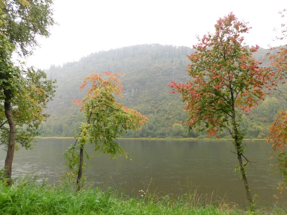 Photograph by Александр Прядко