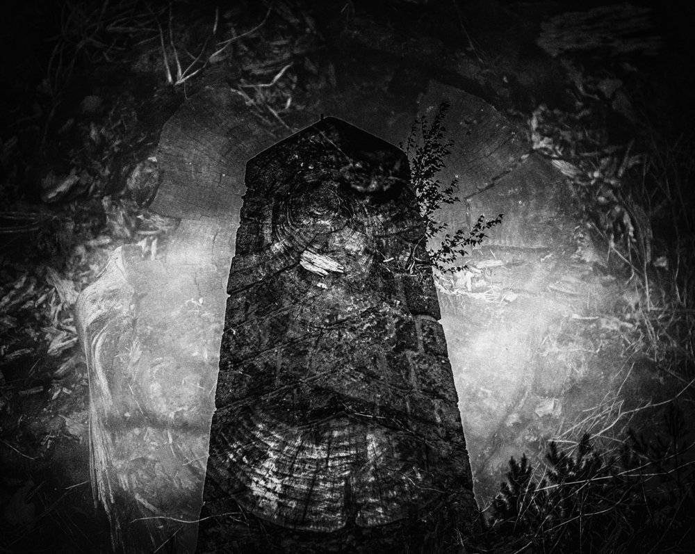 in the eye of the Prophet