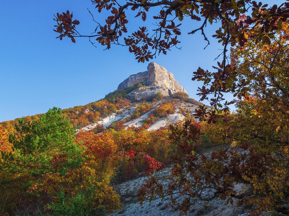 Photograph by Владимир Лысов