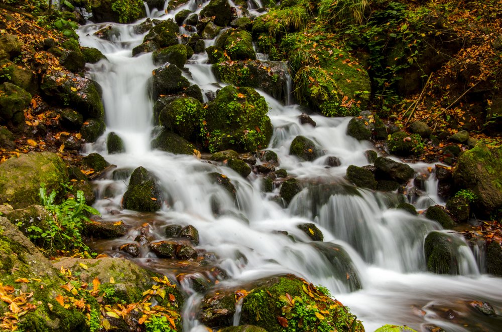 Фотография автора Murat BERKYUREK