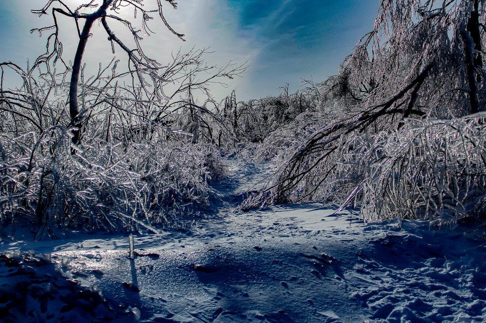 Белая тропа-White trail
