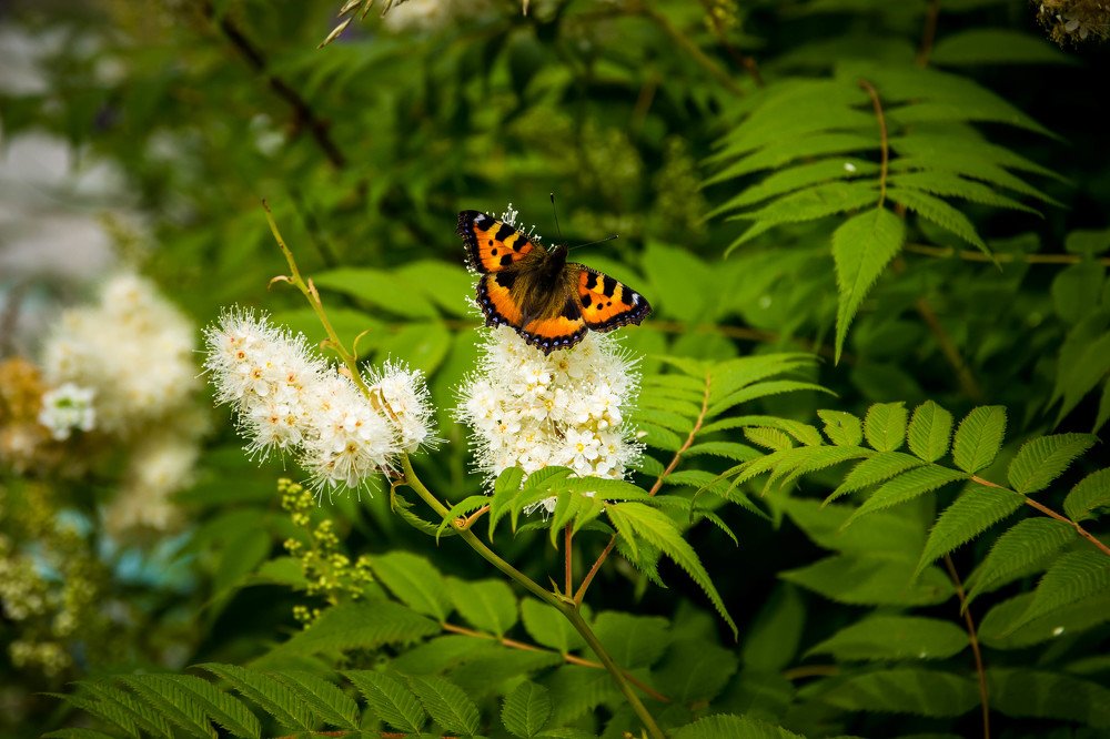 Photograph by Илья Борзенков
