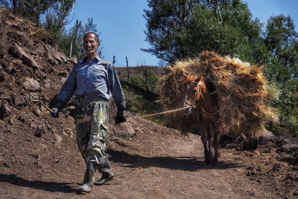 Photograph by rashtipour