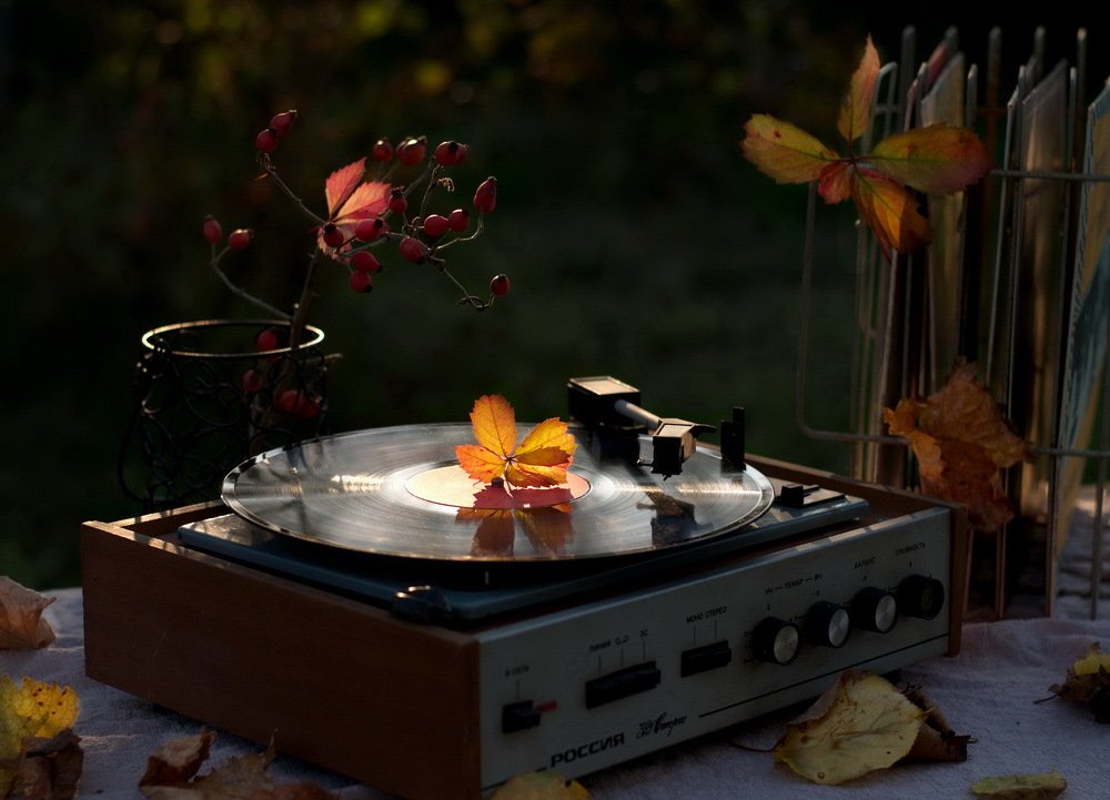 Осенняя мелодия...