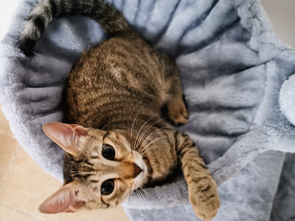 Photograph by Marina Persanova