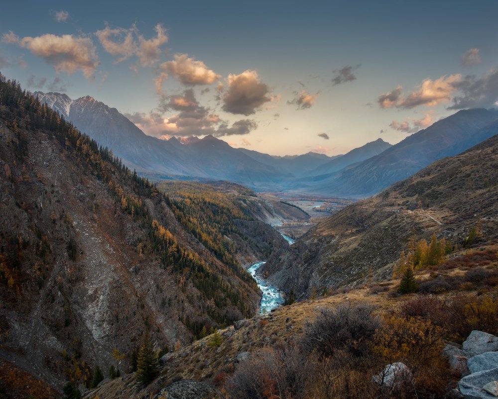 Долина Аргута