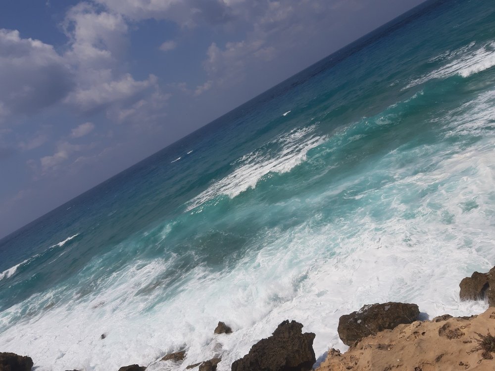 Photograph by Irena TURČINSKAJA