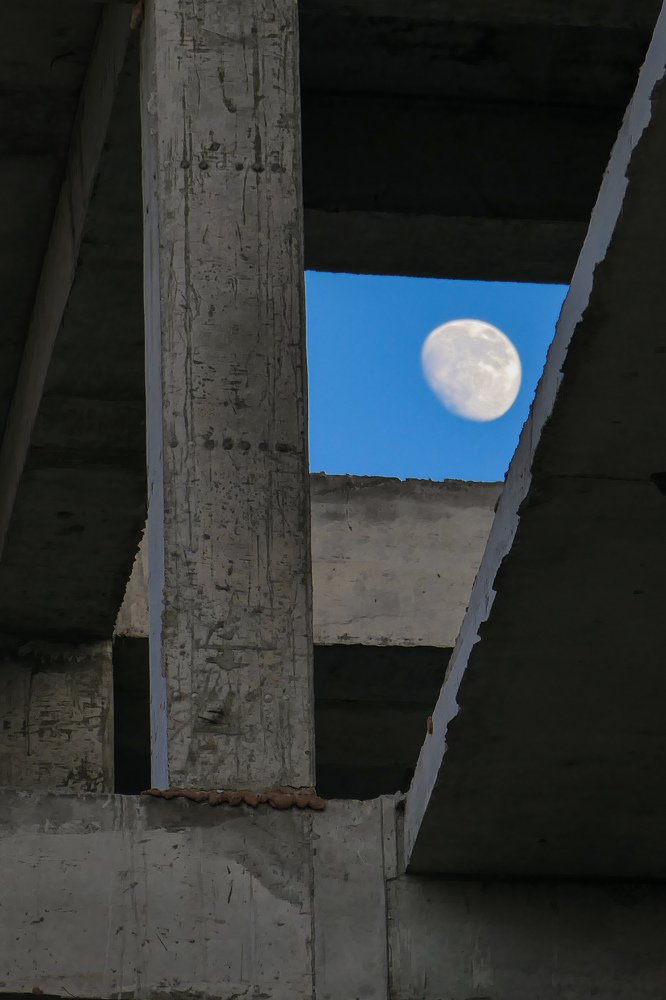 Сквозь каменные джунгли.