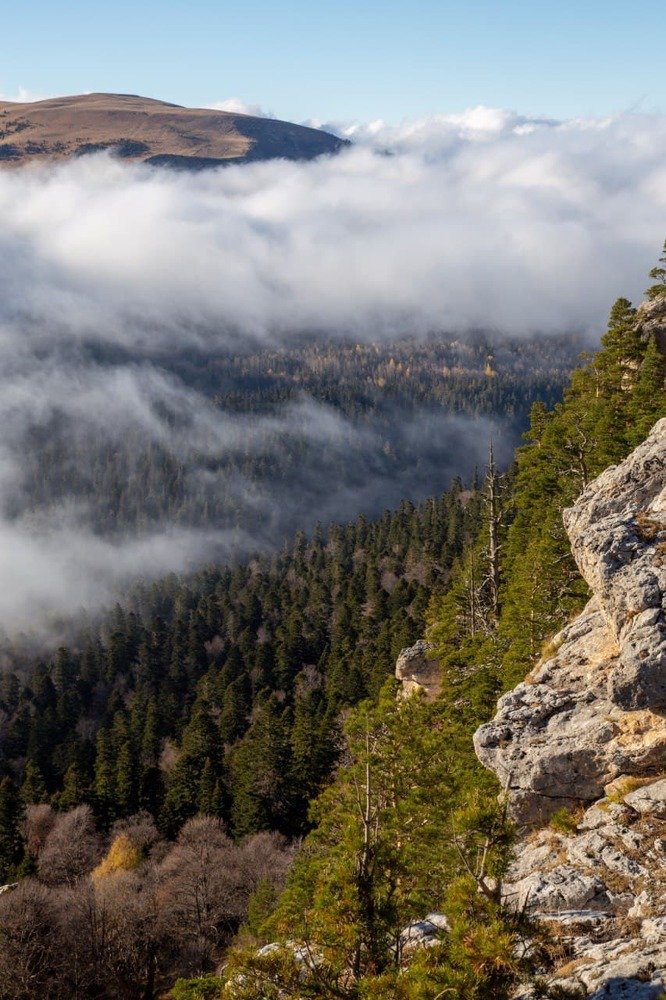 Photograph by Галина Бородина