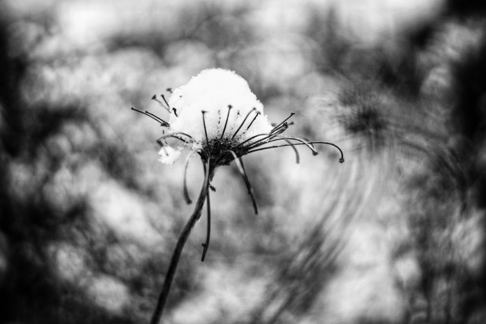 Photograph by Игорь Маслов