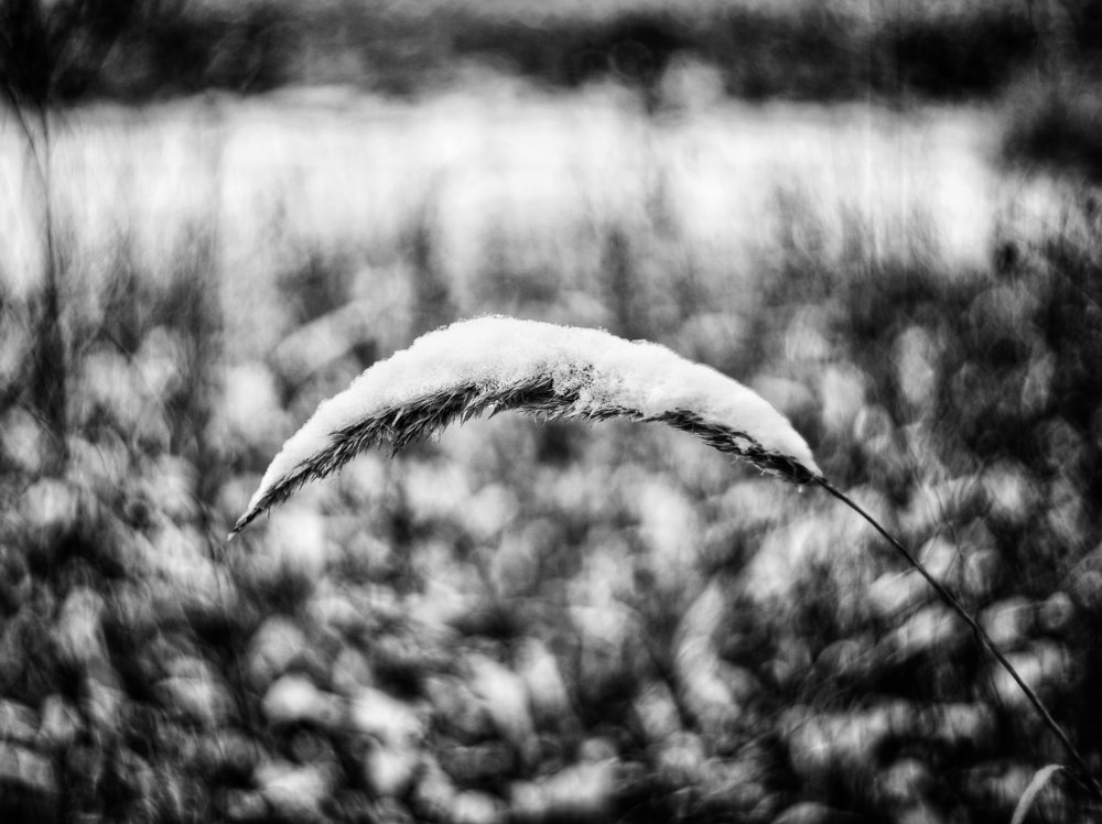 Photograph by Игорь Маслов