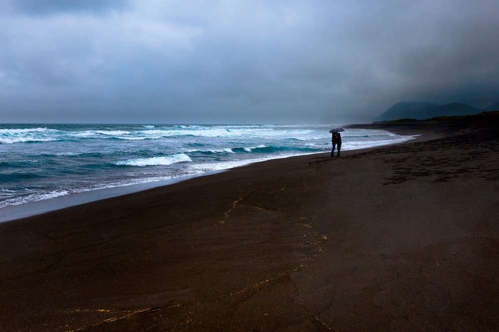 Тепло сердец