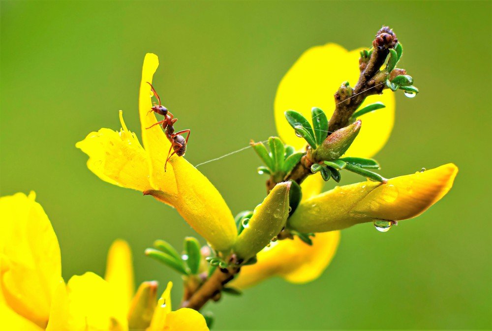 Photograph by Алексей Сиваков