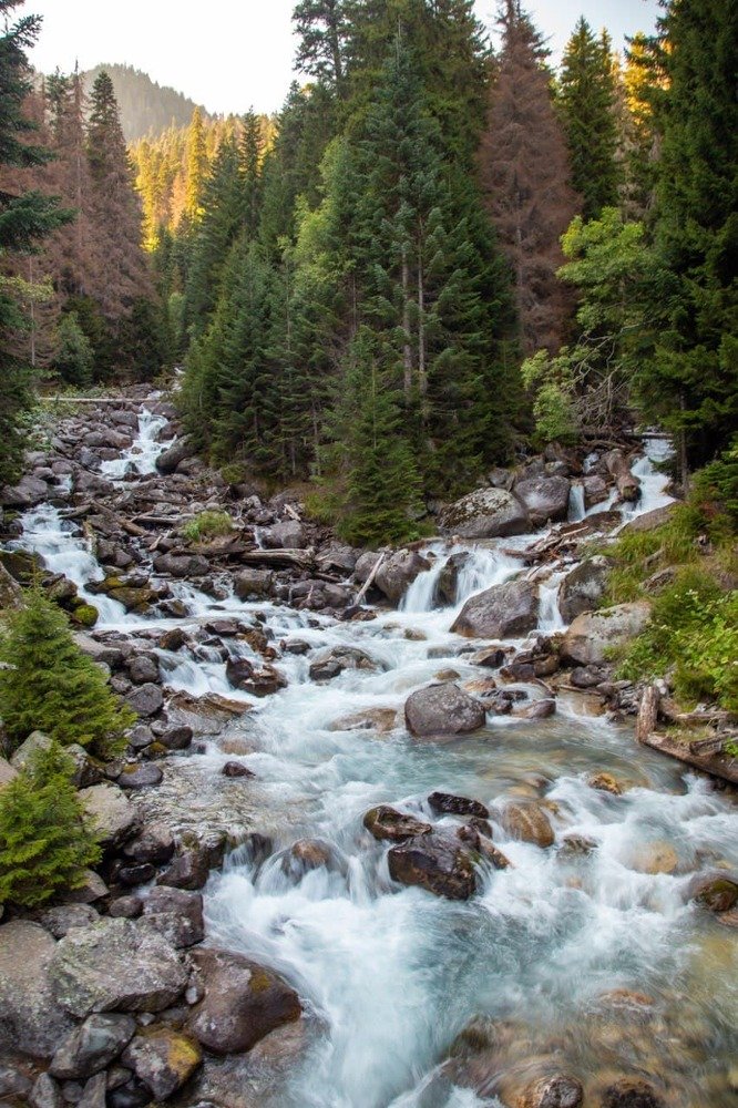 Photograph by Галина Бородина