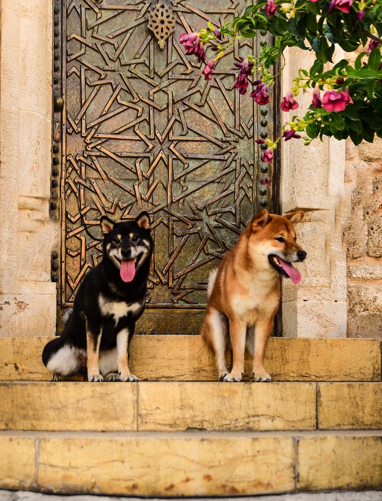 Photograph by Дмитрий М