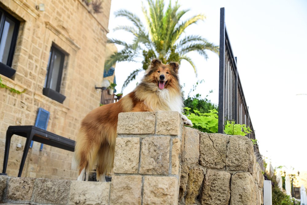 Photograph by Дмитрий М