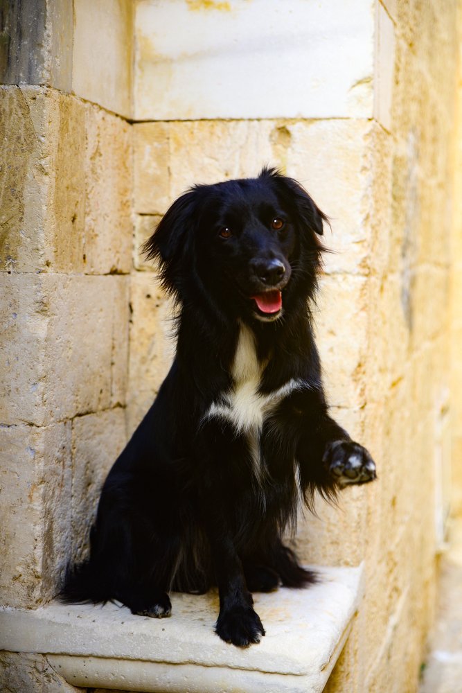 Photograph by Дмитрий М