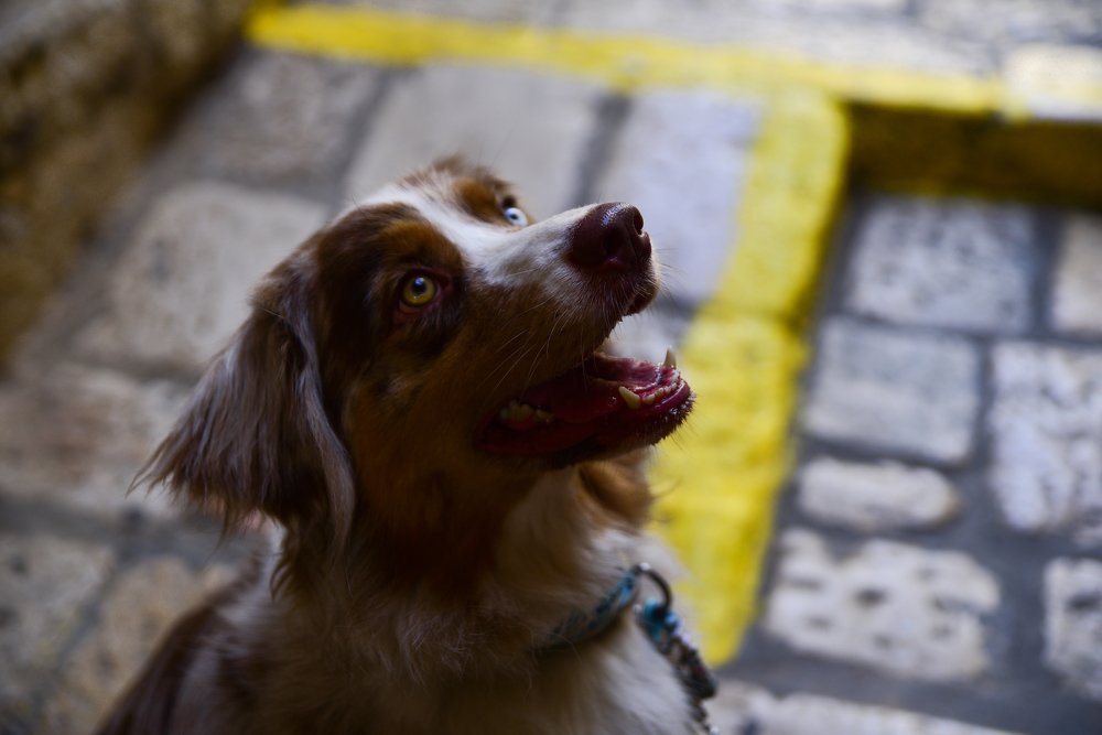 Photograph by Дмитрий М