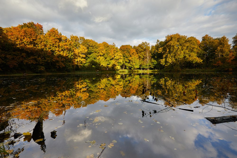 Усадьба Быково, Московская область (Vorontsovskiy park, Moscow Region)