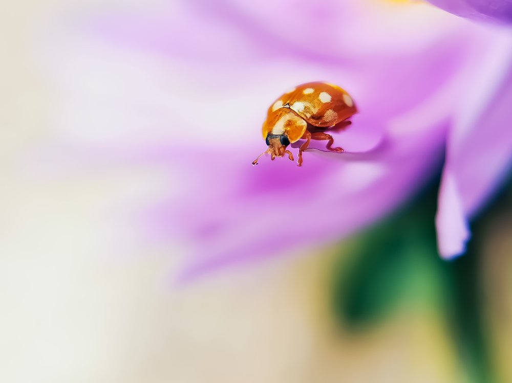 Фотография автора Наталья