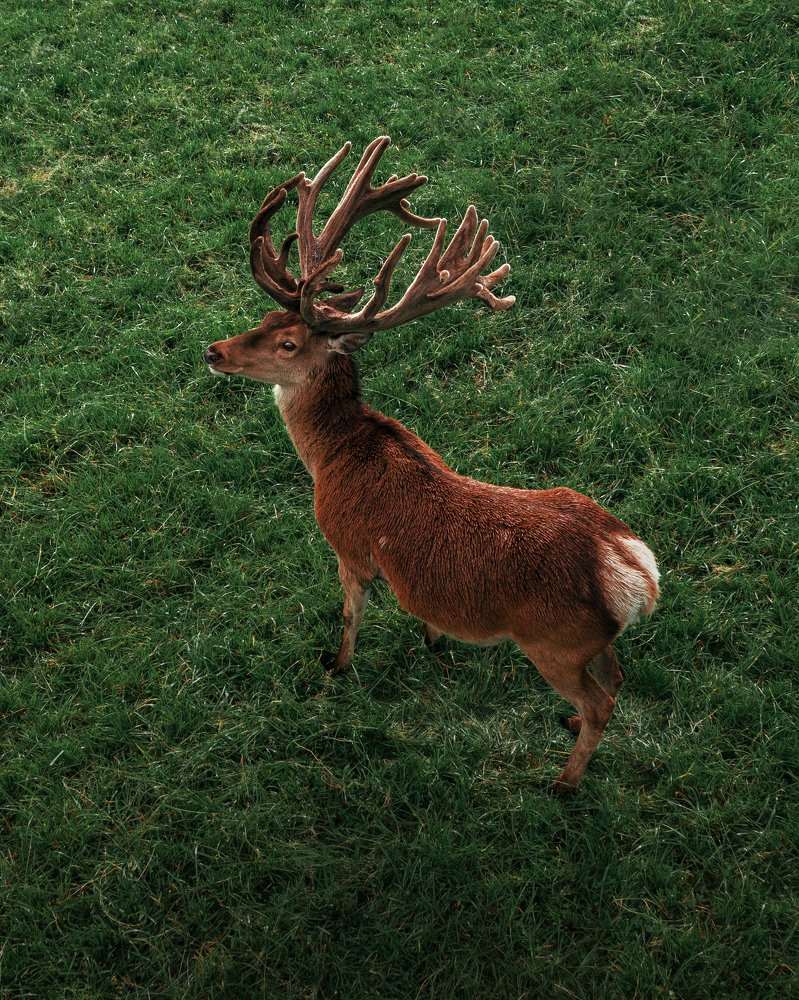 Фотография автора Pavel Reshetov