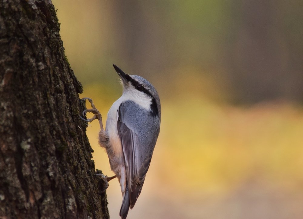 Photograph by Ирина Курицына