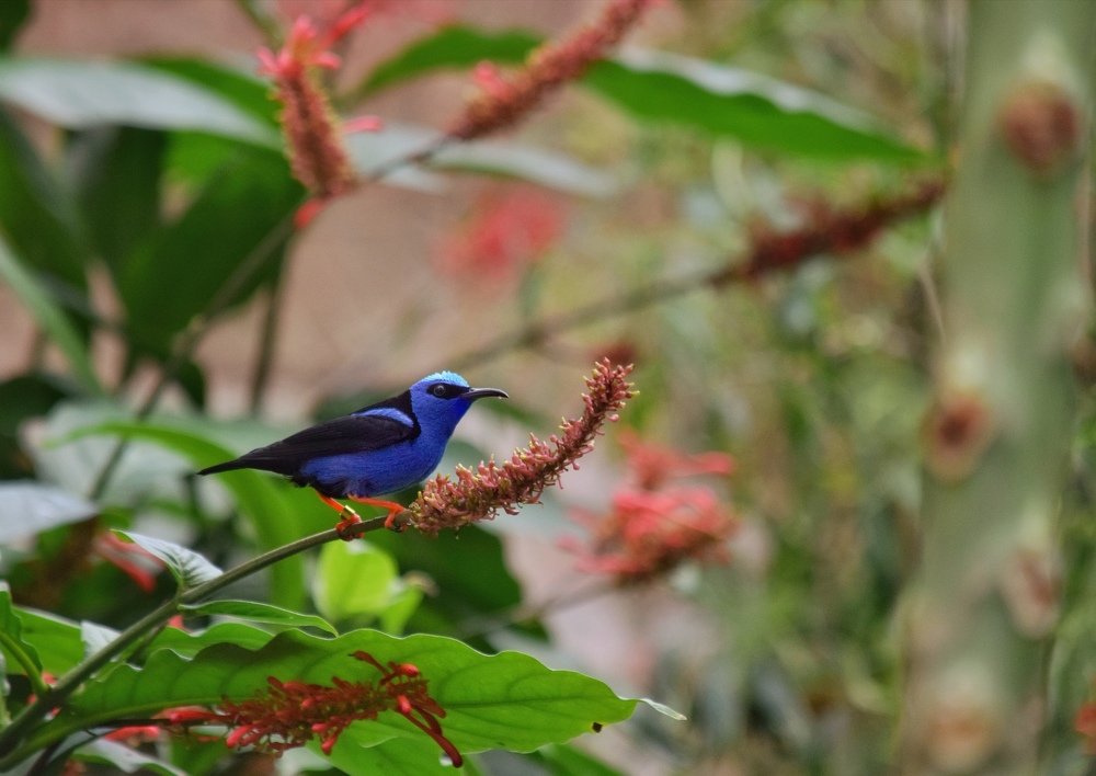 Photograph by Ирина Курицына