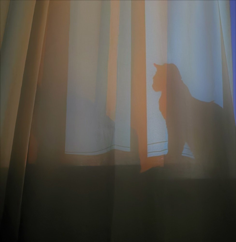 Photograph by Marina Persanova