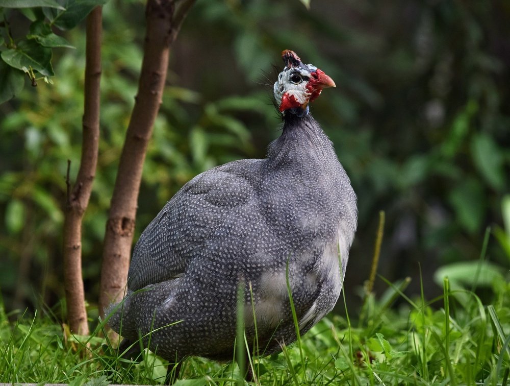 Photograph by Ирина Курицына