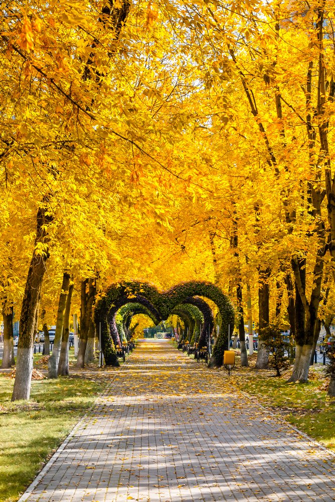 Photograph by Юлия Терехина