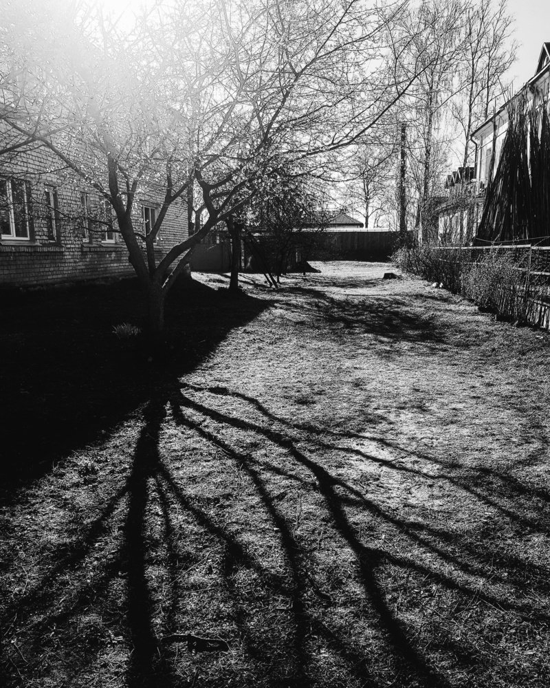 Photograph by Vera Nefedova