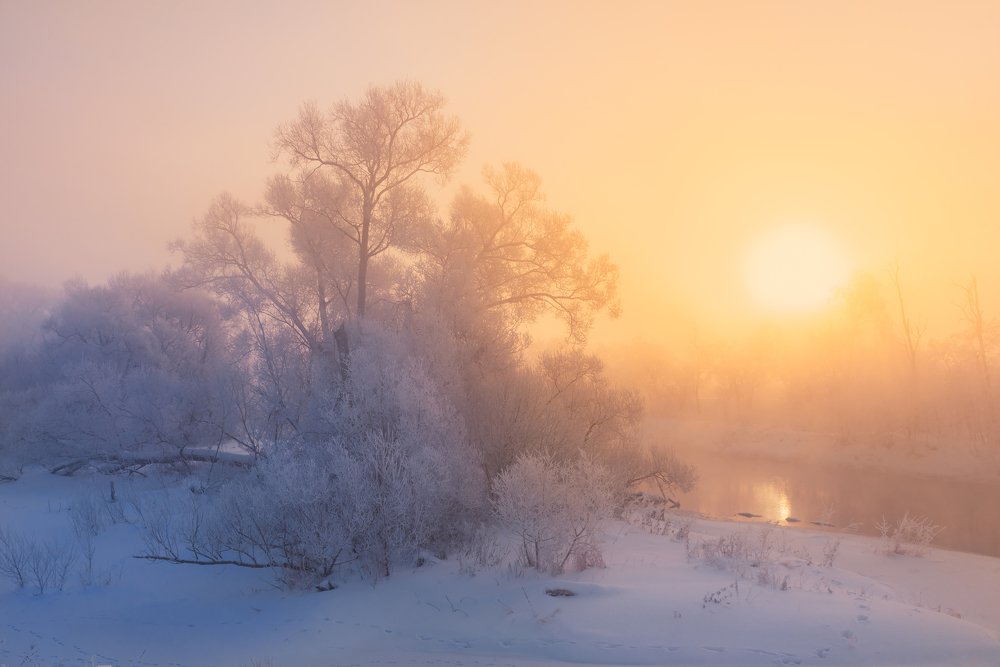 Photograph by Юлия Терехина