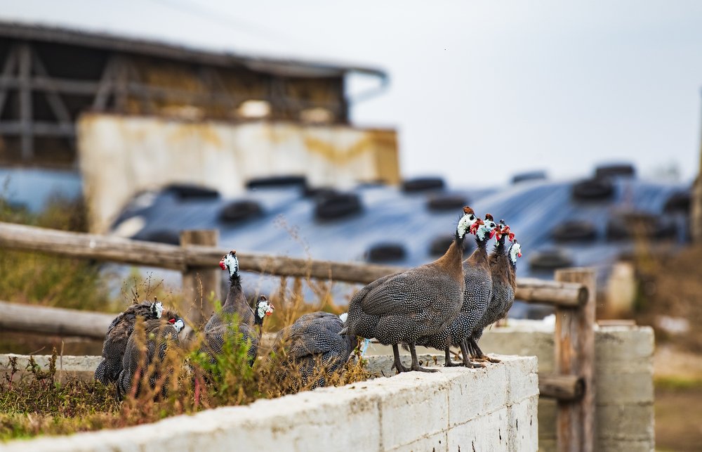 Фотография автора Ольга Коваленко
