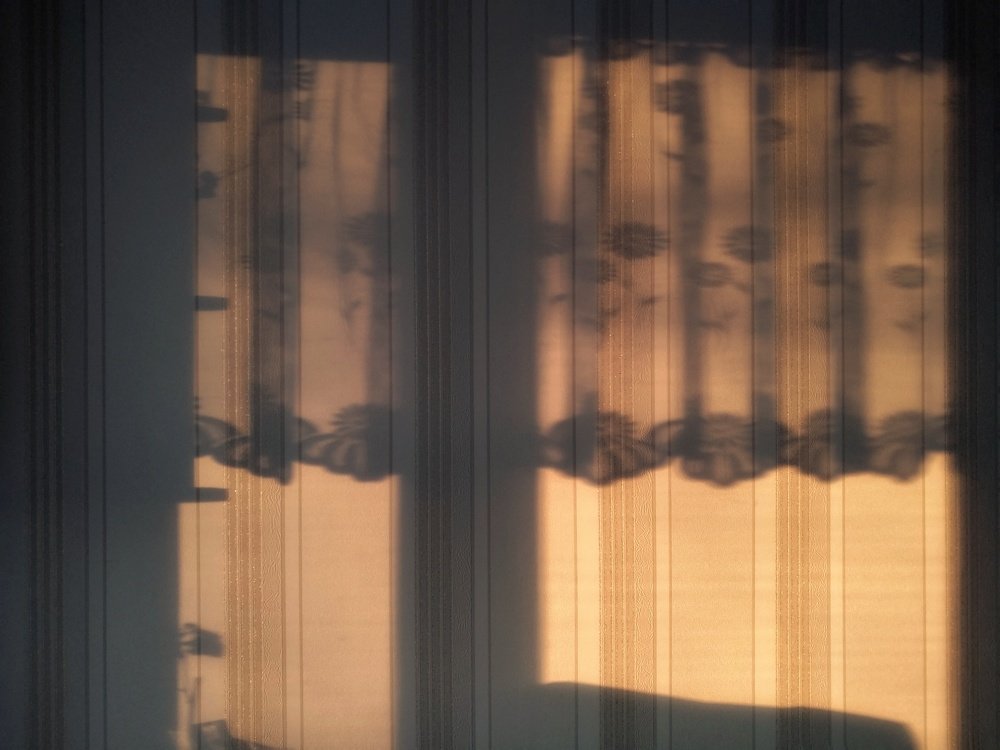 Photograph by Сергей Шмелев