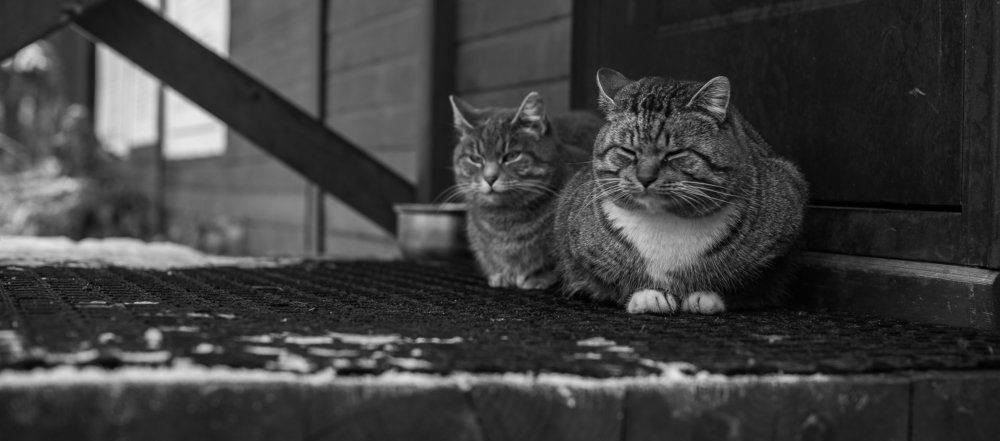 Photograph by Анна Углова