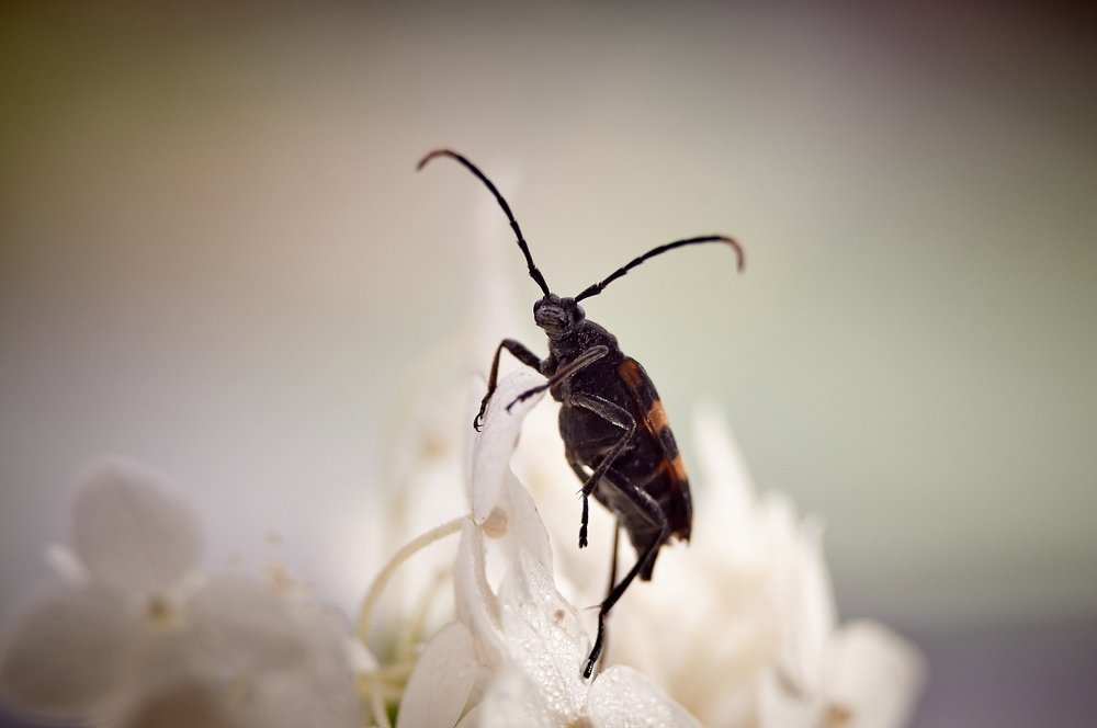 Photograph by Юлия Хаванова